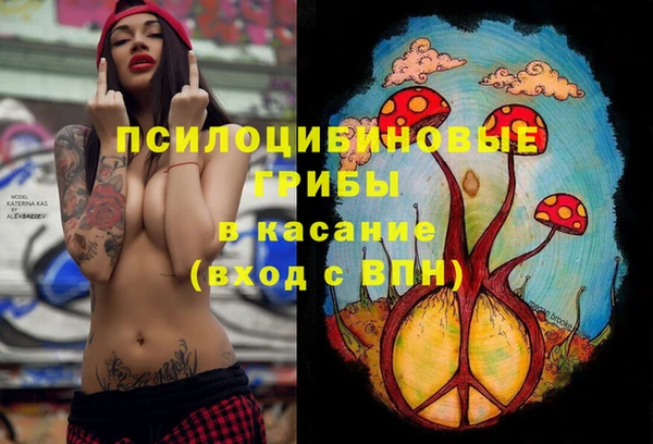 индика Алексеевка
