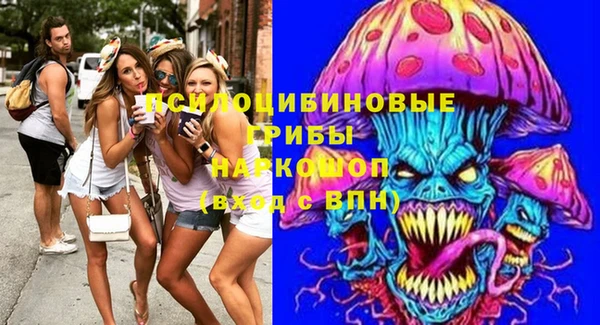 крисы Алексин