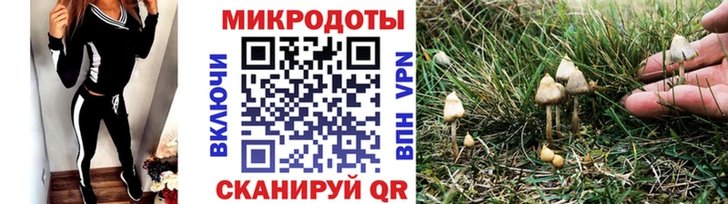 Галлюциногенные грибы Cubensis  Приморск 