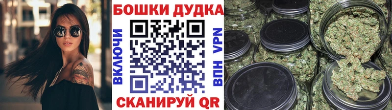 блэк спрут как зайти  где найти наркотики  Приморск  Каннабис гибрид 